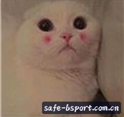 赵敏